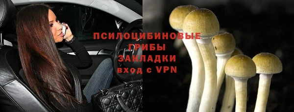 СК Алексеевка