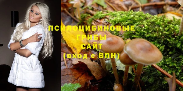 сатива Алзамай
