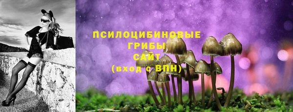 дурь Алексин