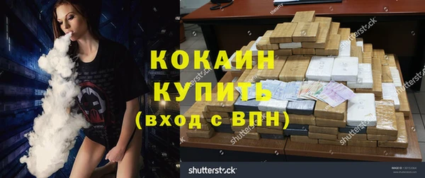 дурь Алексин