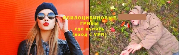 круглые Абаза